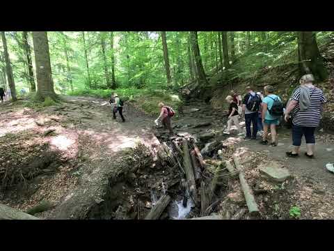 $meta['h1'].'. '.__('site.videos') 7