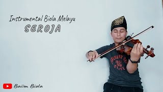 Download lagu Seroja - Violin cover | By Baiim Biola mp3