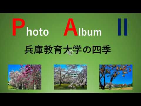 学校教育教員養成課程 兵庫教育大学の四季（フォトアルバム２）