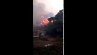 preview picture of video 'ossi 4 novembre 2014 incendio su boschetto'