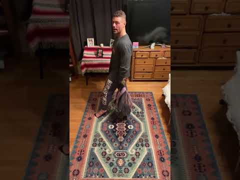 Forearm & Biceps Workout