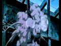 Grendel -  B.A.A.L (Deliver Me) Ghost In the Shell Amv