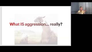 Aggression in Camelids with Marty McGee Bennett