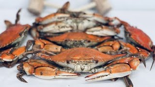 Dirty Dicks Crab House Restaurant 