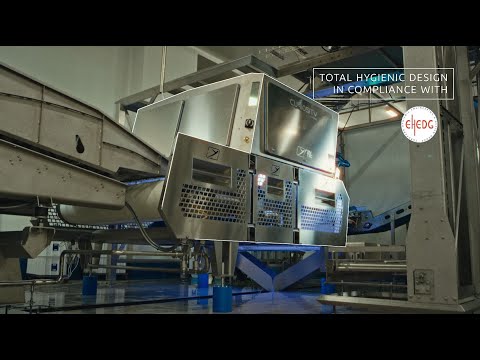 Curiosity Optical Sorting Machine