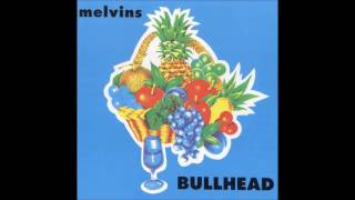 Melvins - If I Had An Exorcism