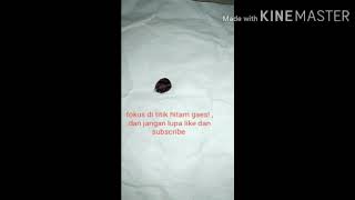 Download lagu Video mengagetkan  2019 😱 cocok untuk story WA mp3 Download lagu Video mengagetkan  2019 😱 cocok untuk story WA mp3