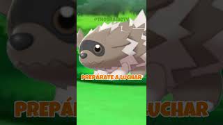 LA PRIMERA RUTA DESPUÉS DE LA LIGA #pokemon #clips #memes