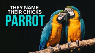 Wild Parrots Give Their Chicks Names. A Hidden Camera Proved It