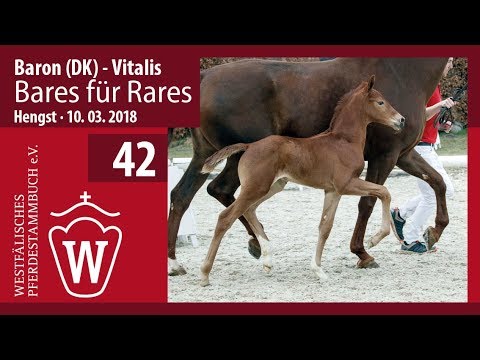 42 Bares für Rares HF v. Baron (DK) - Vitalis