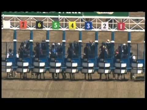ECONOMIC FORECAST wins at Belmont Park  - June 29, 2013