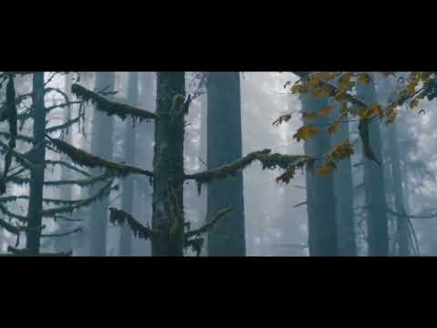 Problem Estimologi Barat ( Dr.Ahmad Alim Lc.MA) By Khairun Nisa