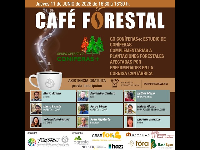 Vídeo relacionado con Trabajos de infraestructuras forestales (Agraria)