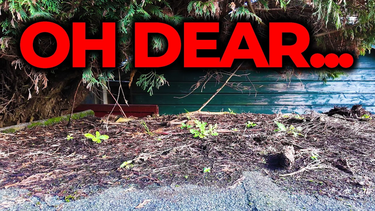 Building My DREAM YouTube/Repair Workshop - Episode 2