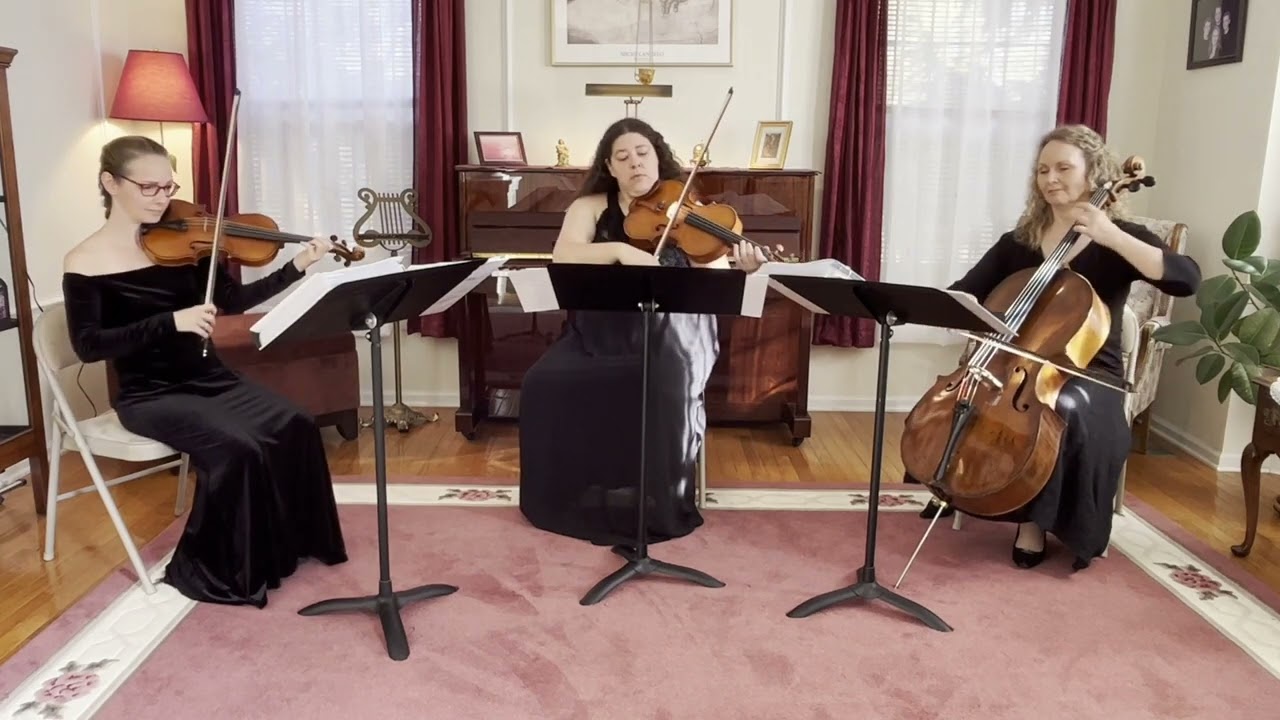 Promotional video thumbnail 2 for Sweet Harmony Live Music