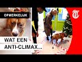 Hond ziet baasje na 3 jaar, rent op kerstboom af