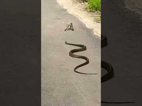 Man mere bhai maan ja aise ruth ke na ja dil tod ke