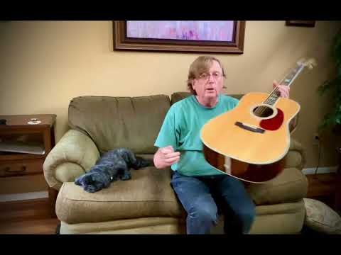 Martin D42 guitar vs Martin D41