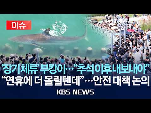 [🔴이슈] '장기 체류' 부캉이…"추석 이후 나가라"/"연휴에 더 몰릴텐데"…안전 대책 논의/2026년 9월 23일(수)/KBS