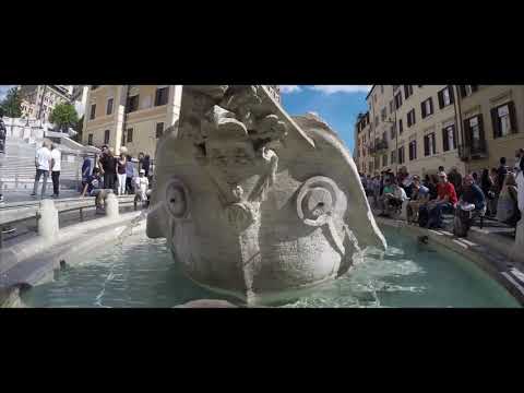 Daphne Barillaro, La stella più bella