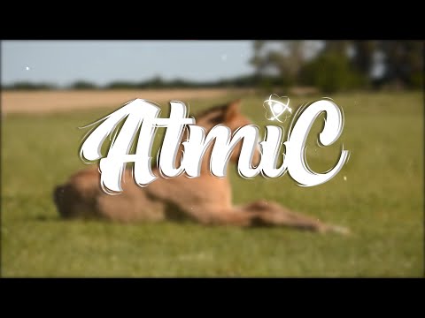 Luis Silva - Llanerisima "Pajarillo"  🎧🎧