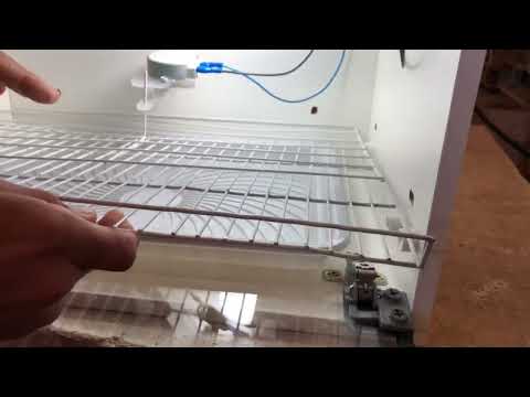 Como encaixar a grade de ferro - Chocadeira 50 Ovos