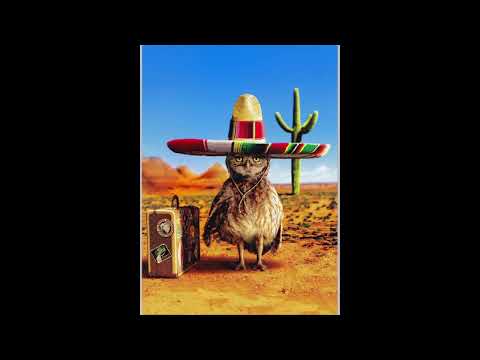 Roland Klinkenberg, DJ Remy - Mexico Can Wait (feat. DJ Remy) (Original Mix)