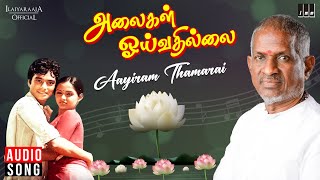 Download lagu Aayiram Thamarai Song | Alaigal Oivathillai | Ilaiyaraaja | SPB, S Janaki | Karthik, Radha | Tamil mp3 Download lagu Aayiram Thamarai Song | Alaigal Oivathillai | Ilaiyaraaja | SPB, S Janaki | Karthik, Radha | Tamil mp3
