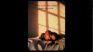 AND ALSO THE TREES - Map In Her Wrists &amp; Arms