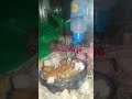 Stella Paige Drinking