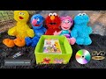 Sesame Street DVD Collection Part 9 50 Years Collection