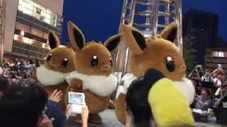 イーブィの大行進 in 横浜 2019 pokemon Eevee parade