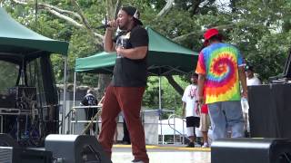 Central Park SummerStage 2014 - Chris Rivers (Big Pun's son) pt. 2