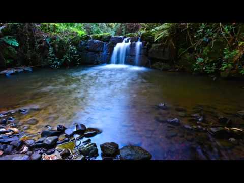 Aiera - North coast (Max braiman remix)