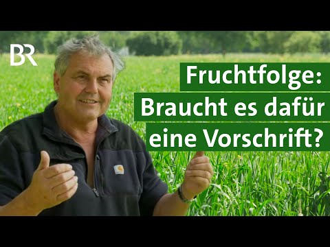 Mais anbauen und Fruchtfolge: Welche Regeln die EU der Landwirtschaft vorgibt | Unser Land | BR