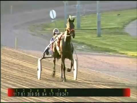 Fred Handelaar wint met Zita Ricardo op Wolvega 16-06-2012.mov