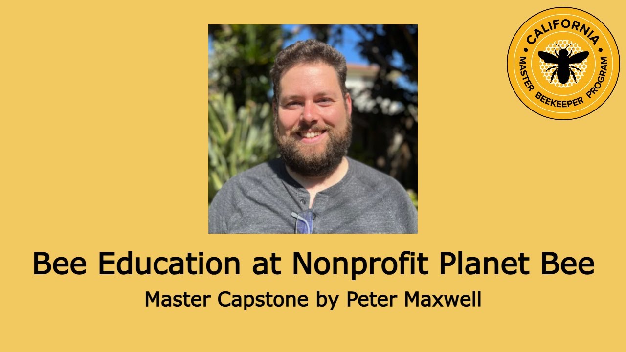 Bee Education at Planet Bee