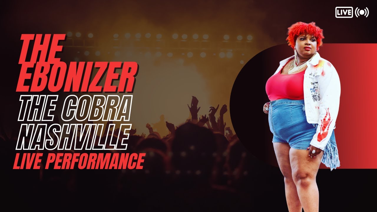 Promotional video thumbnail 2 for The Ebonizer