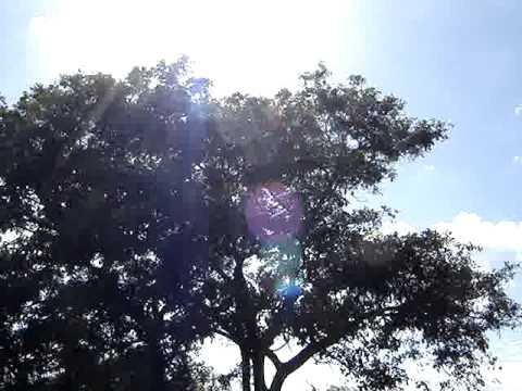 (#S-151) MORE THAN JUST SUN FLARE (1)