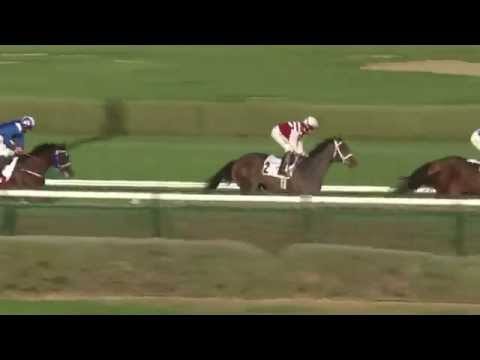31.01.2015 Meydan (Dubai/UAE) 4.Race Al Naboodah Construction Group Trophy - Handicap 1.600 m