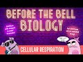 Cellular Respiration: Before the Bell Biology