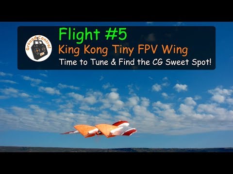 flight-5--king-kongldarc-tiny-wing-450