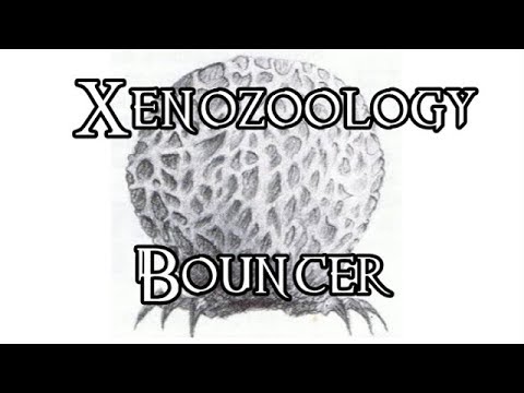 Xenozoology: Bouncer - 40K Theories