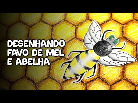 DESENHO CRIATIVO | Aprenda a desenhar um favo de mel e uma abelha