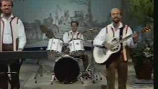 Zillertaler Jodlertrio - I hab di so gern