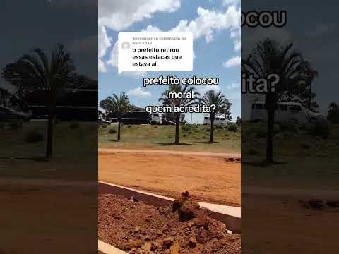 Novo Gama Go