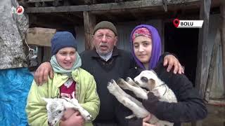 Bolu’da Yaylalardan Köylere Göç Başladı