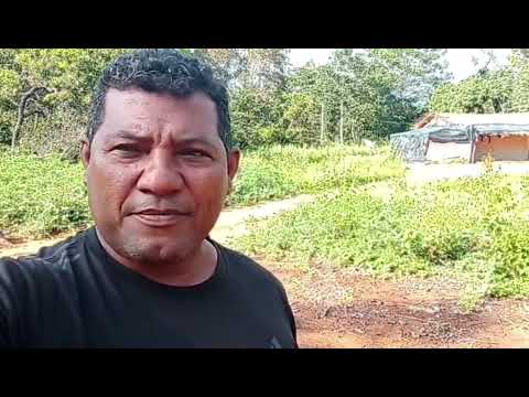 Tradição que resiste: família mantém rotina à beira do rio no interior do oeste baiano