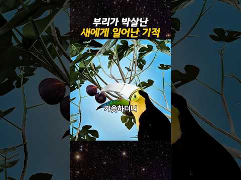 부리가 박살난 새에게 일어난 기적
