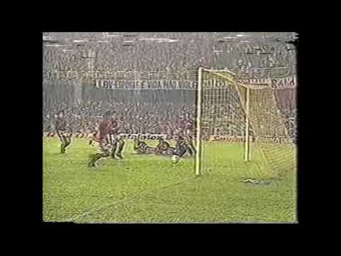 Flamengo 2 x 3 Fluminense - Fluminense Campeão Carioca de 1995